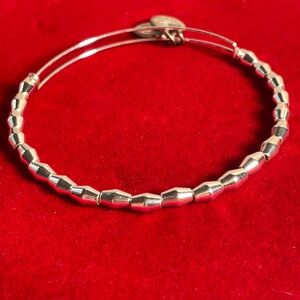 Alex and Ani Silver Beaded Bracelet